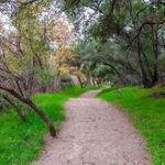 Santa Margarita River Trail Preserve