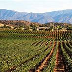 Agua Dulce Winery