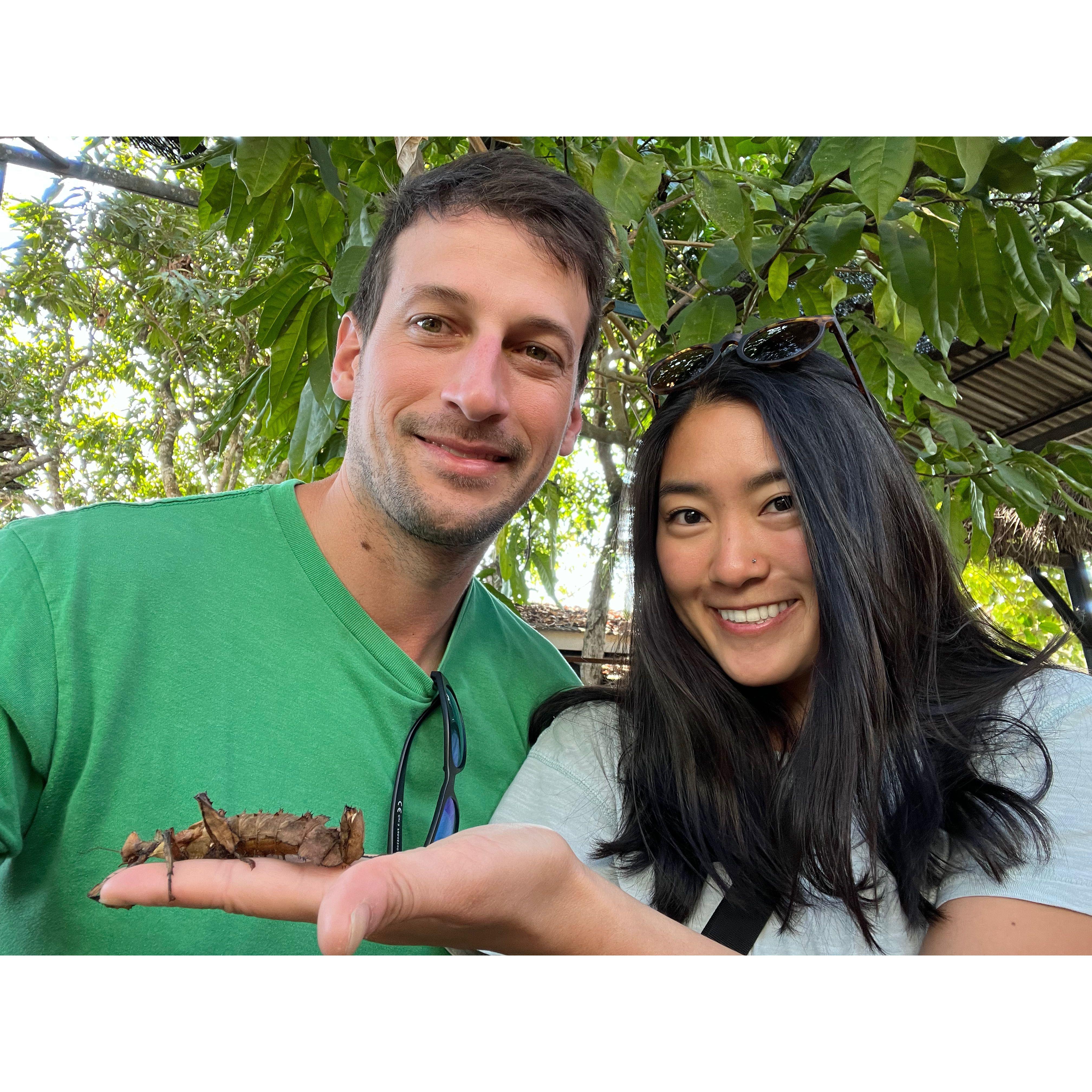 Hanging out with bugs at the Siam Insect Zoo.
