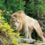 Philadelphia Zoo