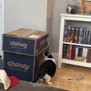 Year's Supply Of Luna’s Treats