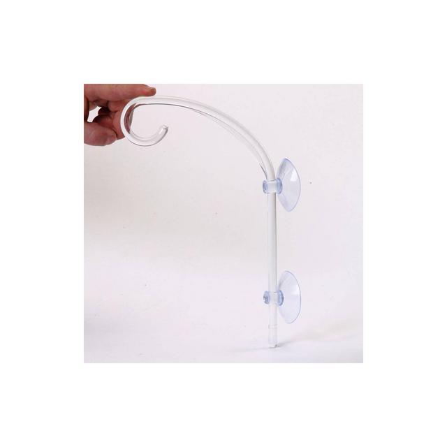 Birds Choice The Great Hangup