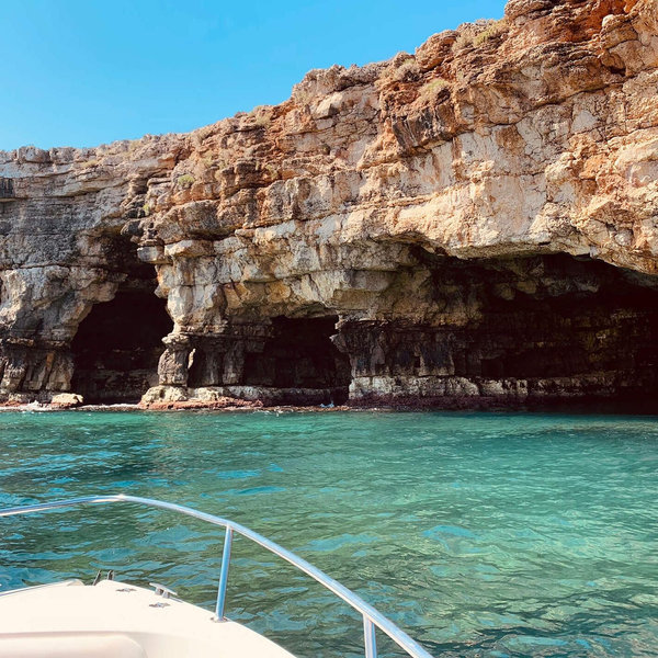 Sea Cave Boat Tour