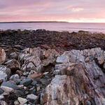 Odiorne Point State Park