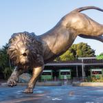 San Diego Zoo