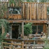 Stodgy Brewing Company