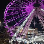 SkyView Atlanta