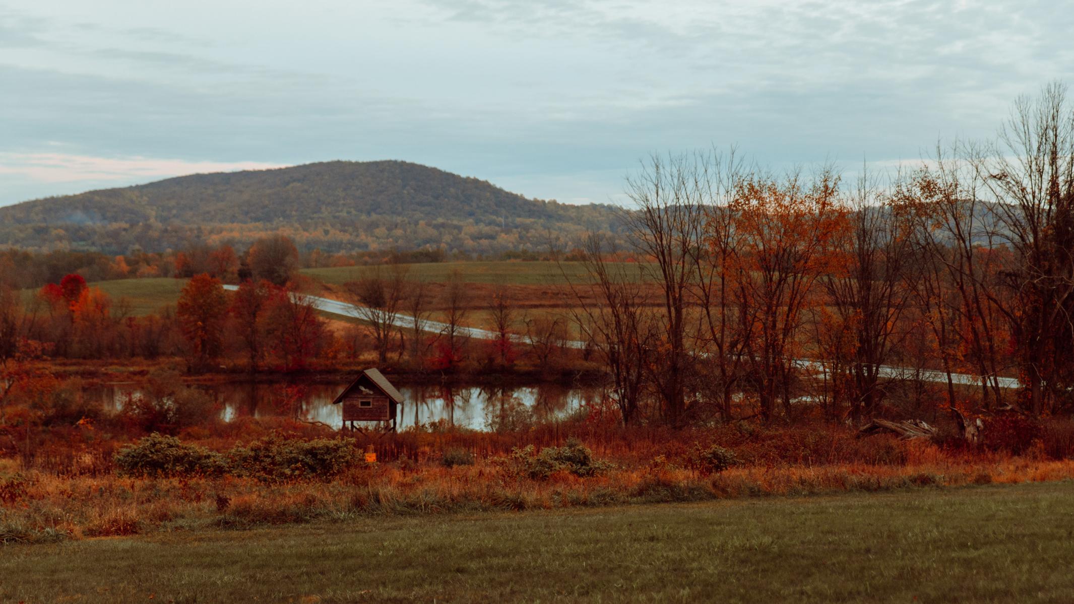 The Wedding Website of Jackie Fernsler and Ryan Wolfe