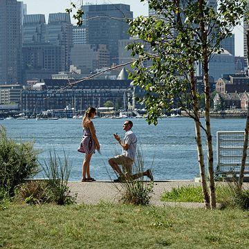 The proposal