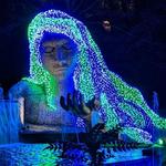 Atlanta Botanical Garden