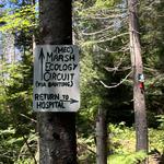 Local Hiking Trails