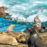 La Jolla Cove