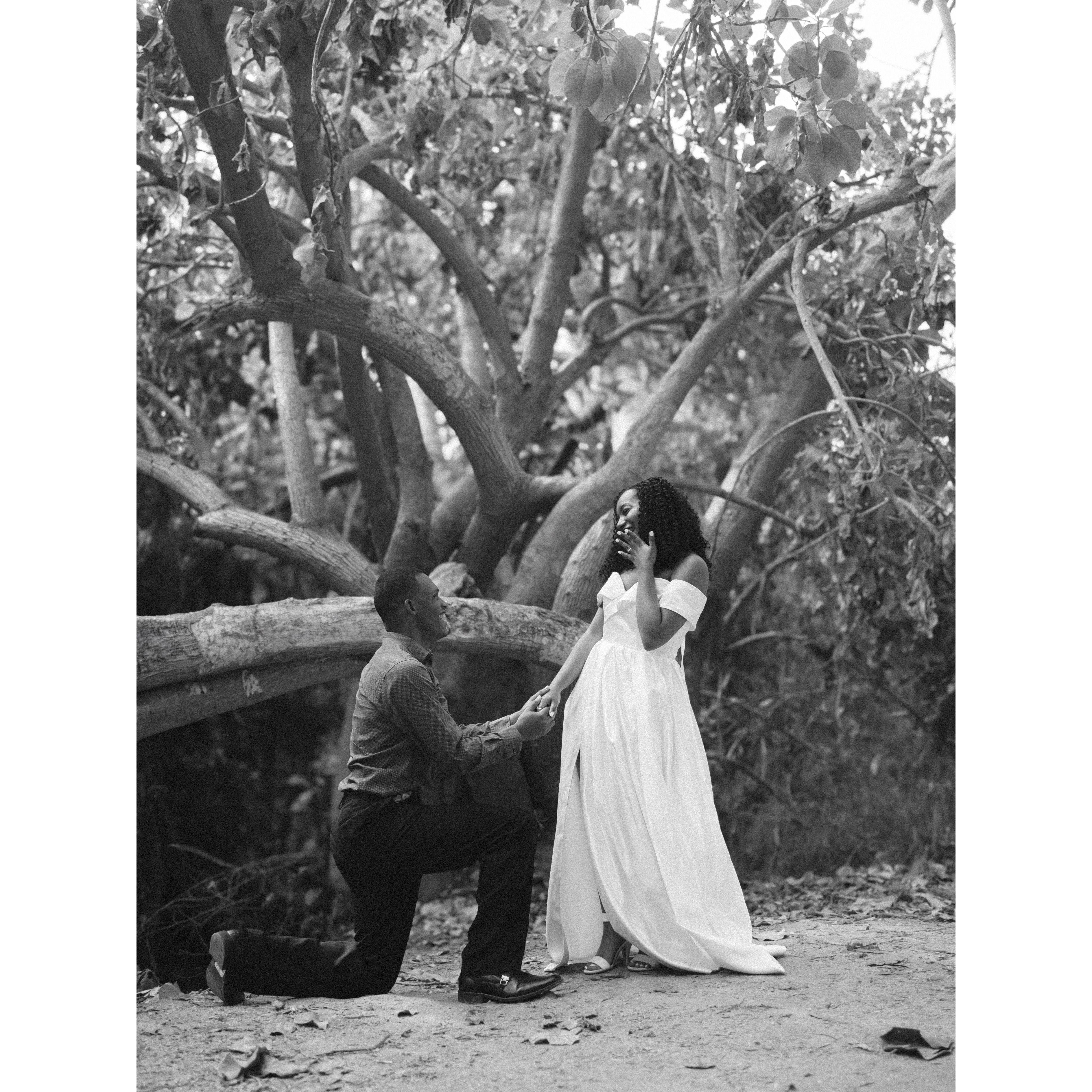 Our proposal spot ♡