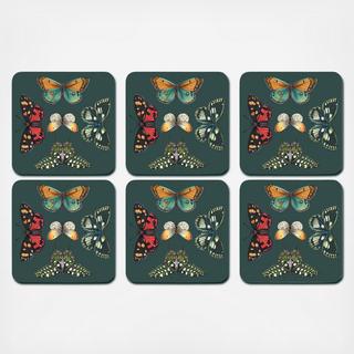 Pimpernel Botanic Garden Harmony Coaster, Set of 6