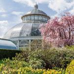 New York Botanical Garden