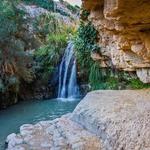 Ein Gedi Reserve
