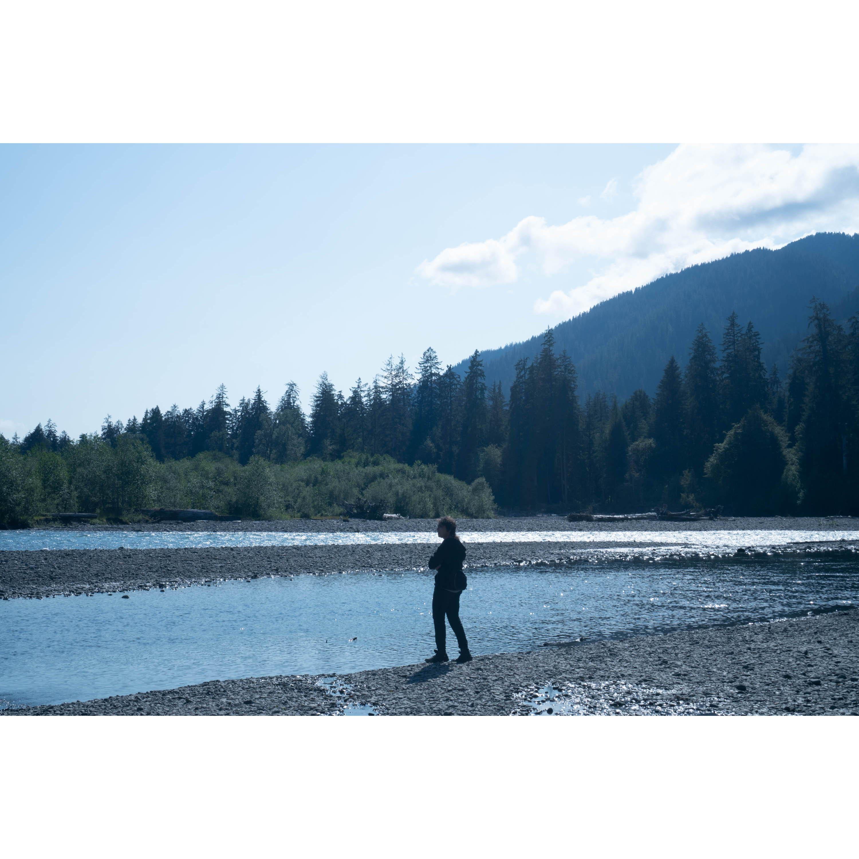 Rex along the banks of the Hoh River
