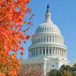 Washington DC