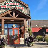 Moose Winooski's