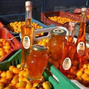 Corfu Koum Kouat Distillery!