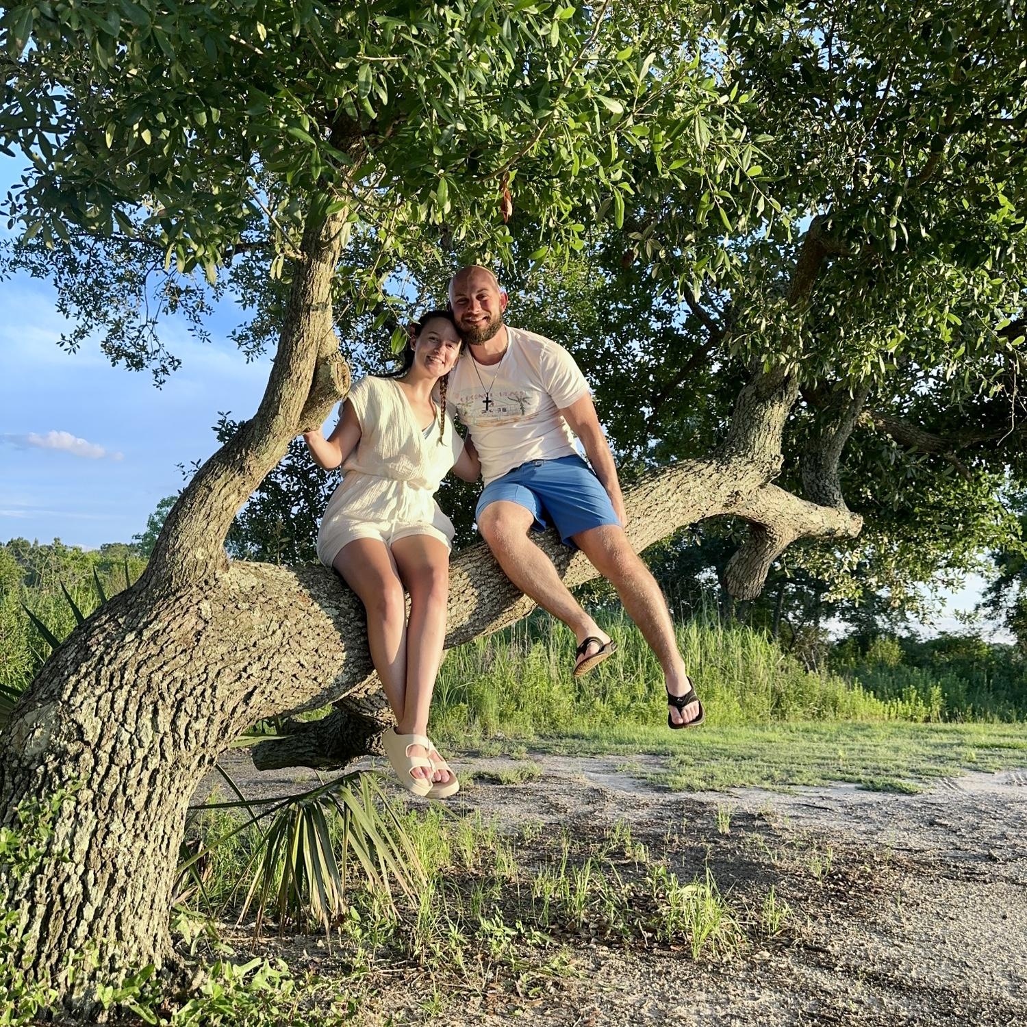 In a tree on Saint Louis Bay🌊