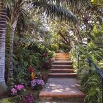 San Diego Botanic Garden