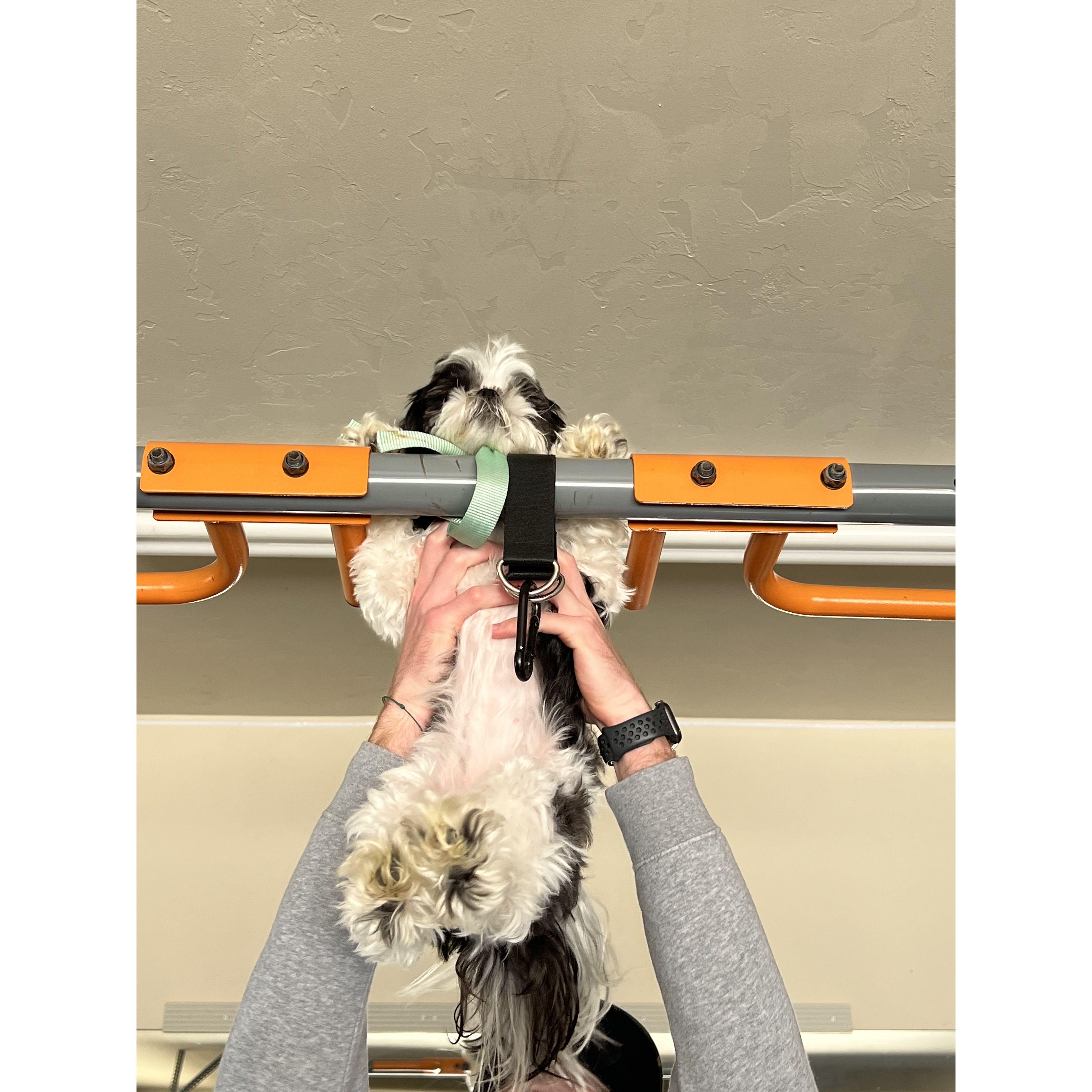 Wynter has her first vacation with Hobie, she's getting in shape!