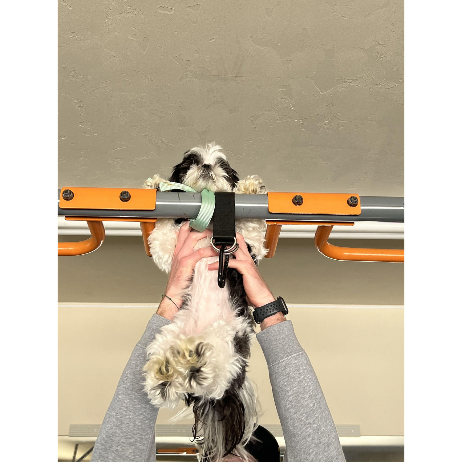 Wynter has her first vacation with Hobie, she's getting in shape!