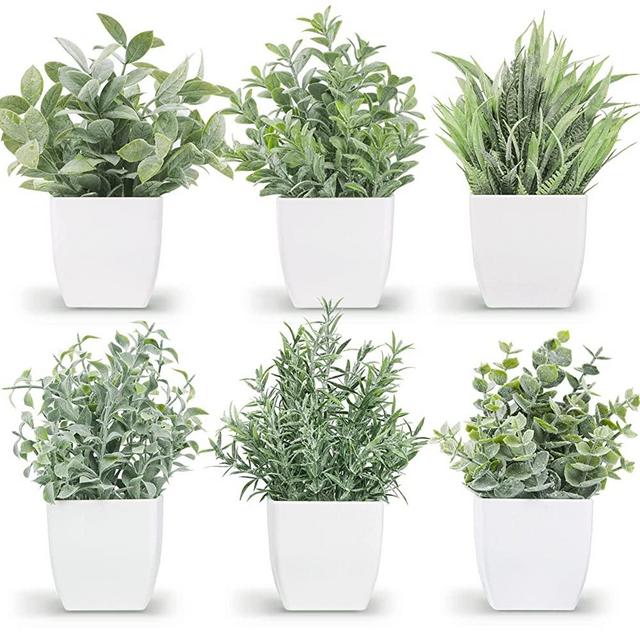 Der Rose 6 Packs Small Fake Plants Artificial Greenery Eucalyptus Plants in Pots for Bedroom Living Room Decor