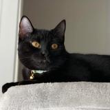 Second Chance Animal Rescue