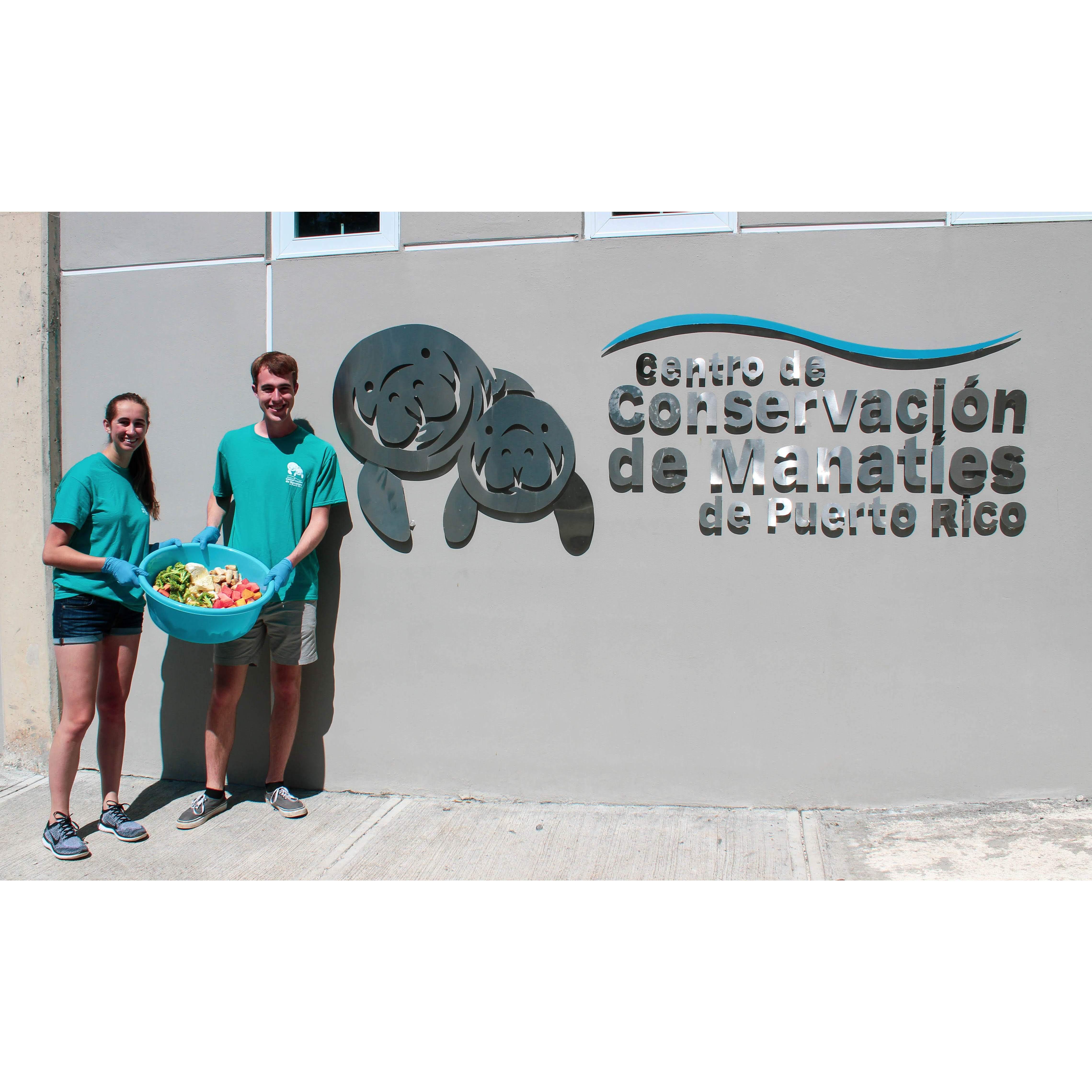 Feeding manatees (some of Sarah's favs) in Puerto Rico