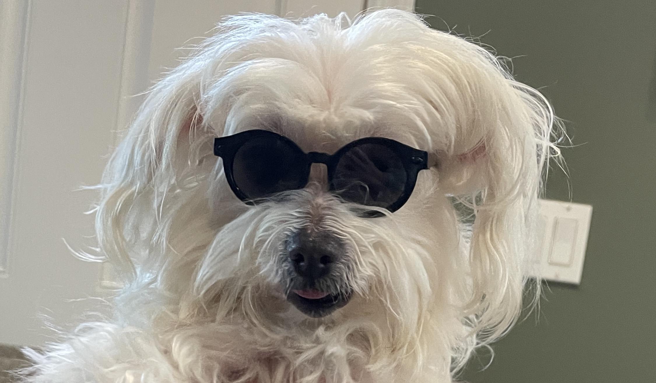 The Wedding Website of Elizabeth Bird and Tom Mugno