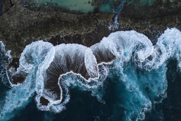 Sea Shells- Clark Little
