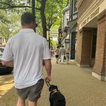Downtown Holland