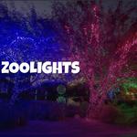 Phoenix Zoo/Zoo Lights