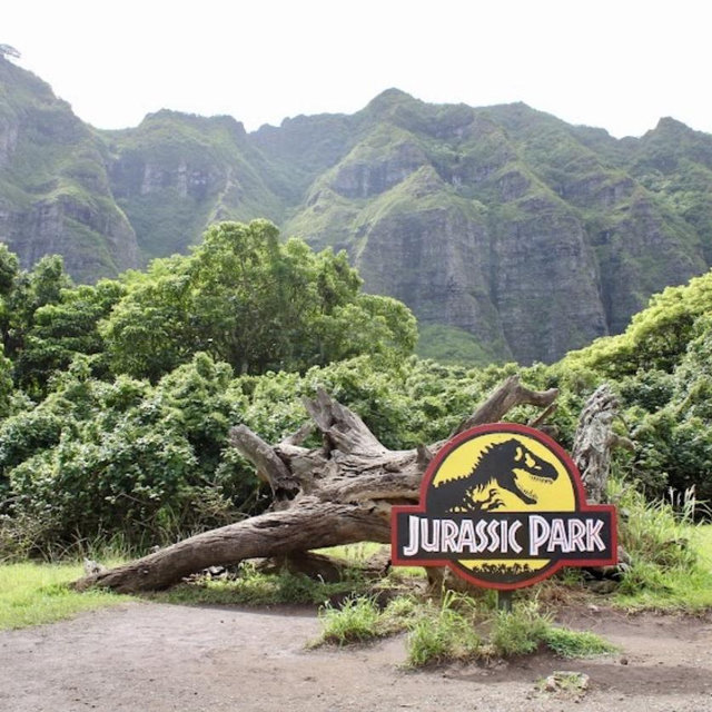 Kualoa Ranch Tour