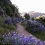 West Side Trail