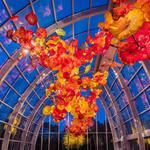 Chihuly Garden and Glass