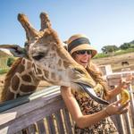 Malibu Wine Safaris