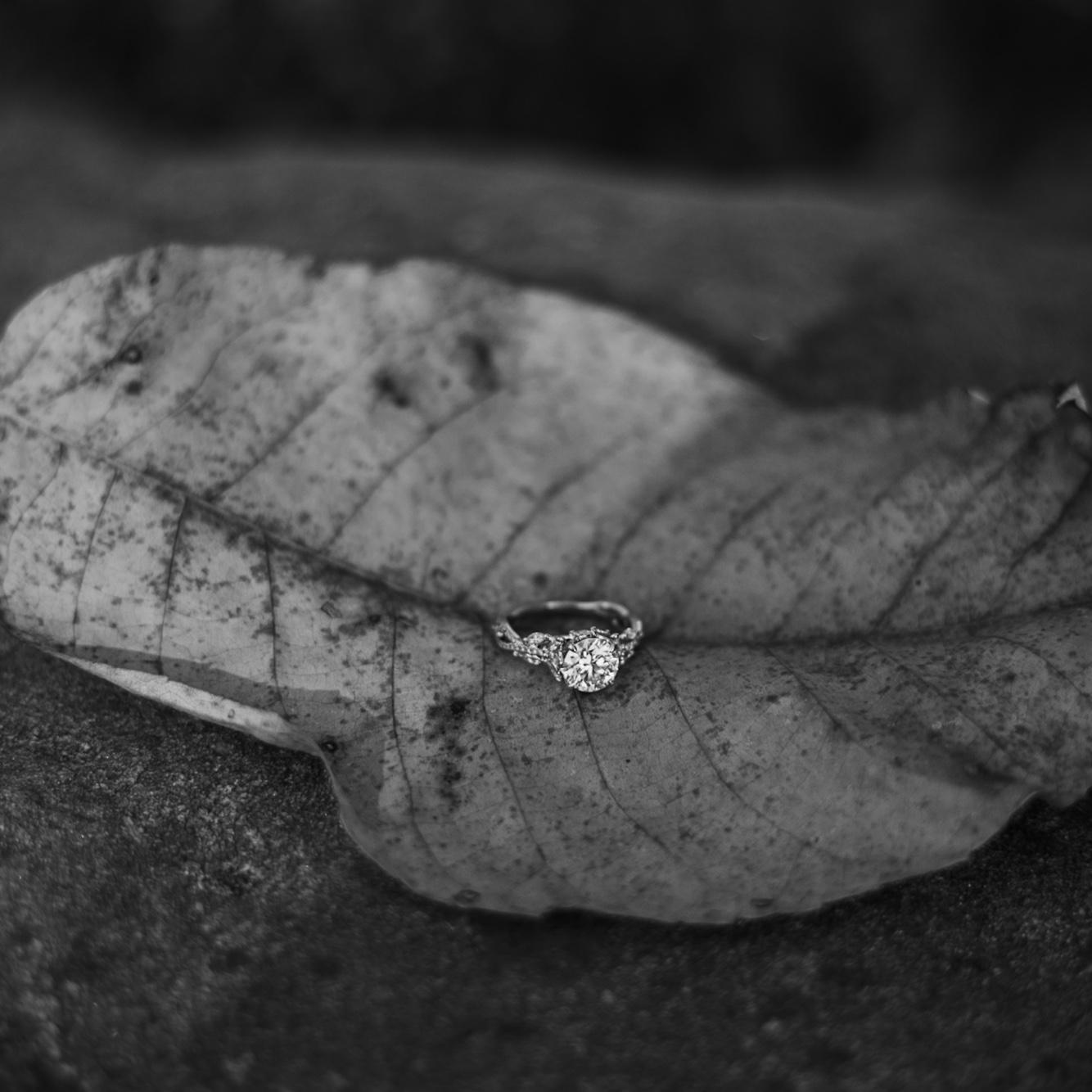 Some engagement photos!  
10/27/24
Photos by: macienicolephotography