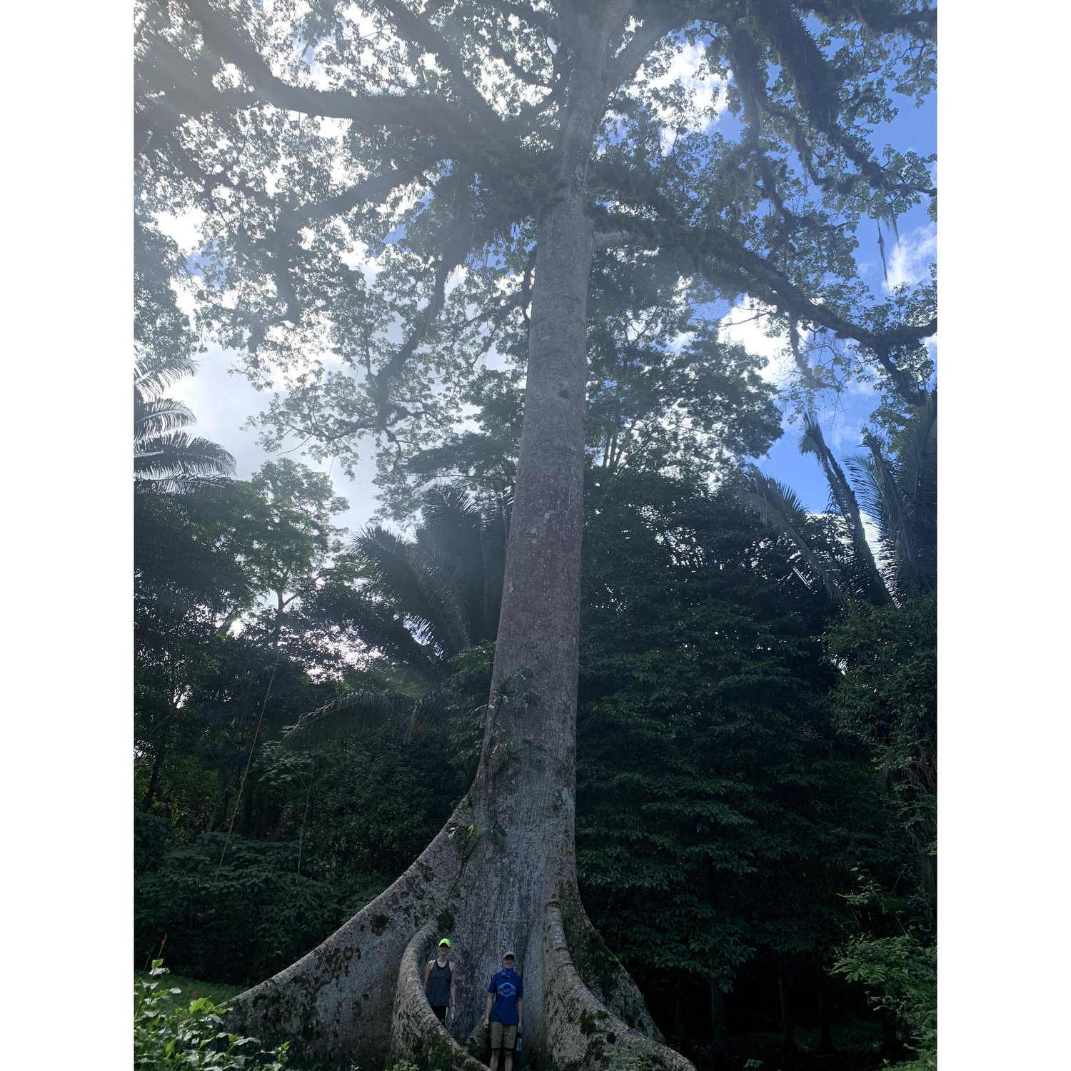 Just us and a big tree