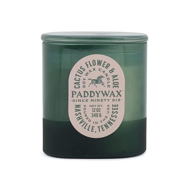 Paddywax Candles VS1005 Vista Collection Scented Candle, 12-Ounce, Cactus Flower & Aloe, 12 Ounces