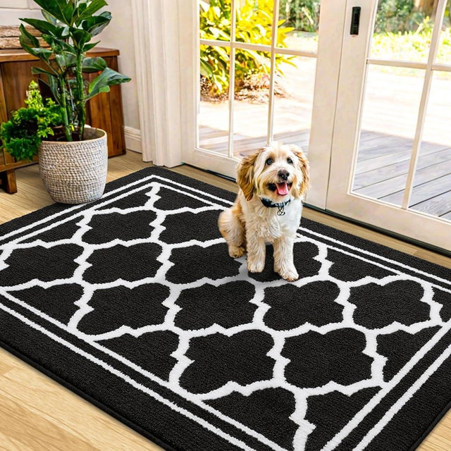 Buganda Indoor Door Mat, Dirt-Resistant and Absorbent Doormat, Anti-Slip, Low Profile Floor Mats for Inside Entryway, Front, and Back Door Entrance (48x32 Inches, Black)