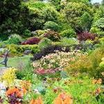 Mendocino Coast Botanical Gardens