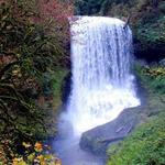 Silver Falls State Park