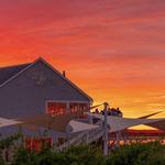 Tree House Brewing - Cape Cod