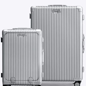 Carry-on + Check-in - Silver