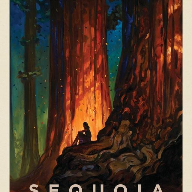 Sequoia National Park: Nature's Cathedral-KC