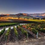 Santa Ynez Valley Tourism