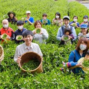 Honeymoon: Stay at Tea Farm – Kyoto, Japan